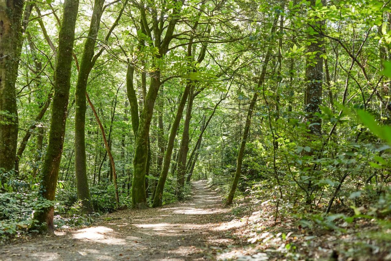 Gite De Pen Vraz Plougoumelen Экстерьер фото